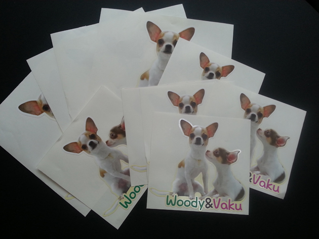 강아지스티커(실사출력+돔보컷팅)/소량출력/스티커/(가격전화문의)