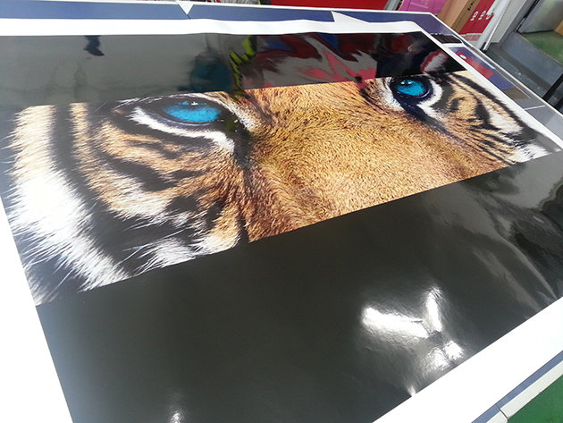 이미지실사(PVC 캘-리무버블)1800x1200mm/PVC 캘(영구적)/-54,000원