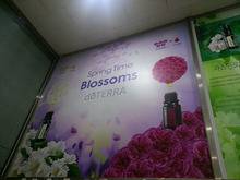 [실사출력] 아로마힐링센터(창문썬팅, 실내 800×600 아크릴 현판, 햇빛가림용 롤브라인드제작 3분할 제작 및 시공)