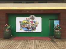 [실내사인물] 아인스월드-토이바운스 팡팡놀이터(외부간판, 내부인테리어 필름작업)/포토폴리오(현장시공)/(가격전화문의)