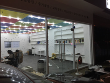 [실사썬팅] 공간디자인 선인장(윈도우 시트컷팅, 유리면 전체 시공)