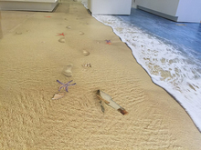 [실사썬팅] 국립중앙박물관(바닥광고, 실사출력 및 시공)