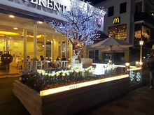 [LED 채널간판] TO THE DIFFERENT 투 더 디프런트 커피(LED 채널간판, 외부썬팅, 내부썬팅 제작 및 시공